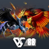 Sabong - Philippine Cockfighting